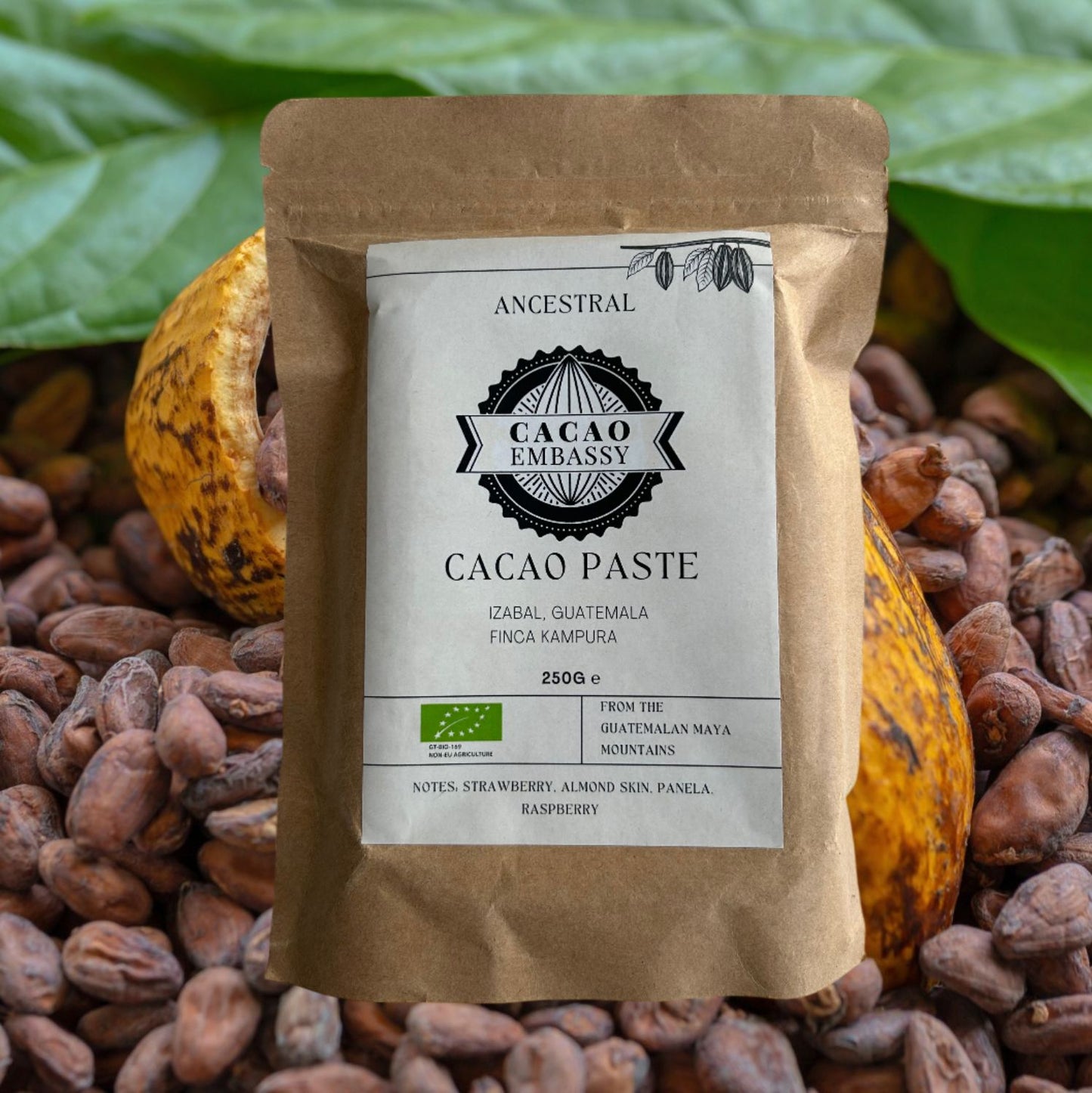 Cacao Embassy | Bio Kakaopaste | 100% Kakao | Finca Kampura | Guatemala |  250g