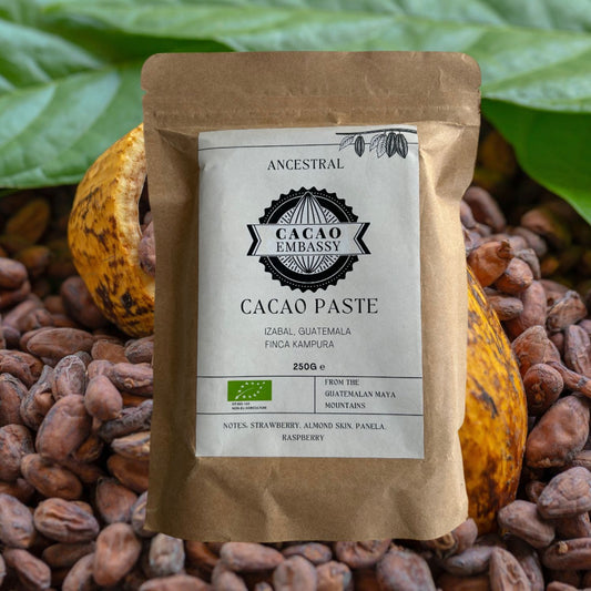 Cacao Embassy | Bio Kakaopaste | 100% Kakao | Finca Kampura | Guatemala |  250g