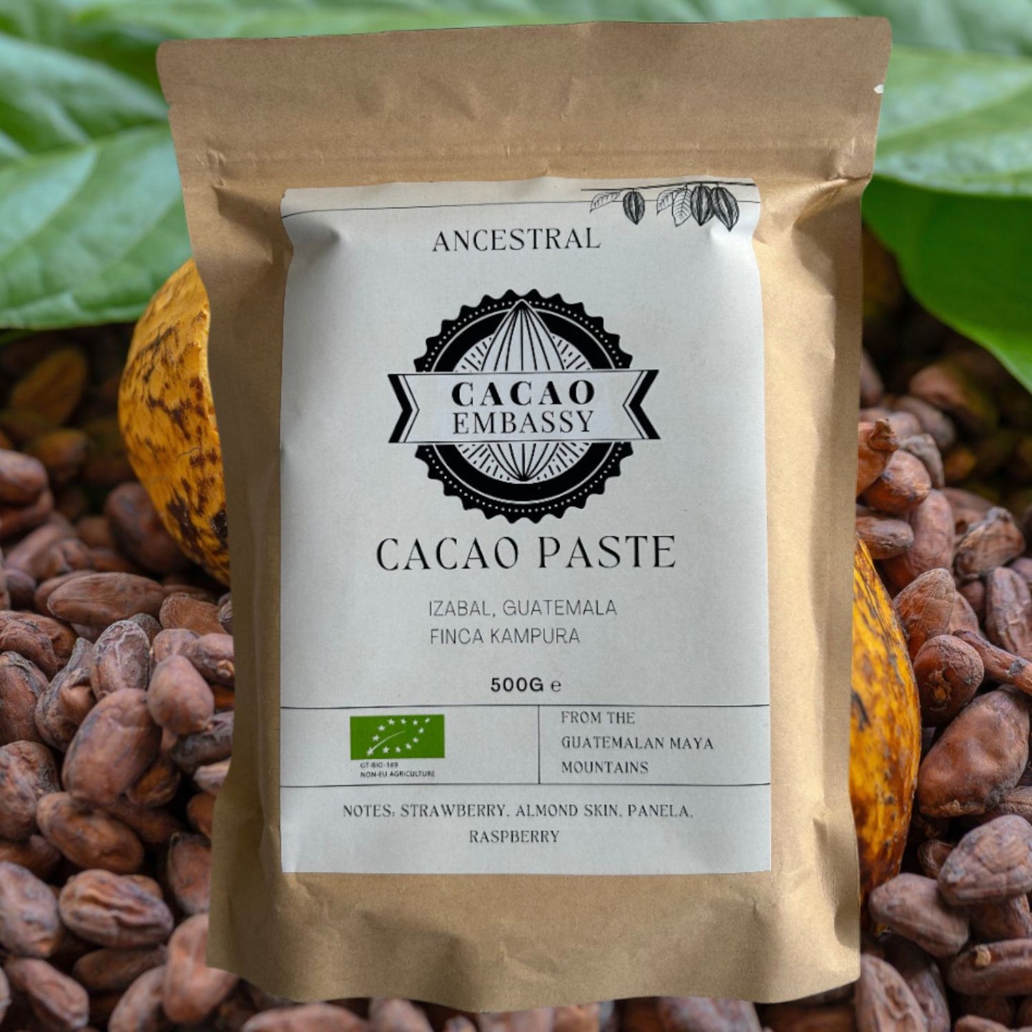 Cacao Embassy | Bio Kakaopaste | 100% Kakao | Finca Kampura | Guatemala | 500g